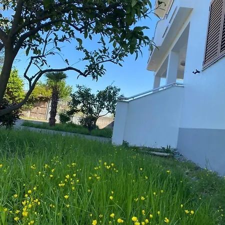 Familiar With Big Garden Villa