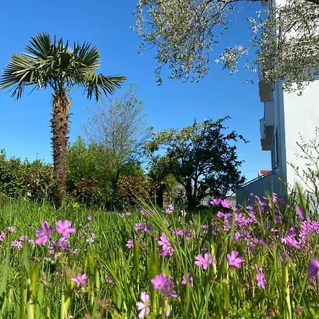 Familiar With Big Garden Shkodër